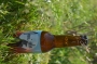 Mam'ale Brasserie NATURAL MYSTICK